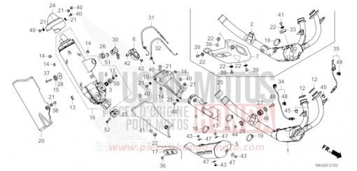 SILENCIEUX D'ECHAPPEMENT CRF1100A2M de 2021